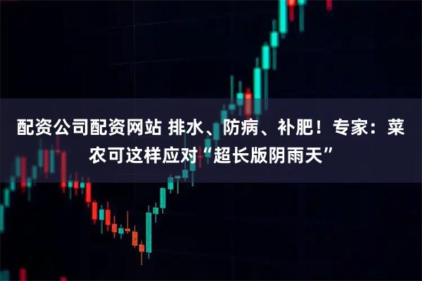 配资公司配资网站 排水、防病、补肥!专家:菜农可这样应对“超长版阴雨天”