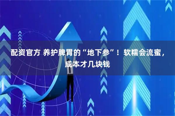 配资官方 养护脾胃的“地下参”！软糯会流蜜，成本才几块钱