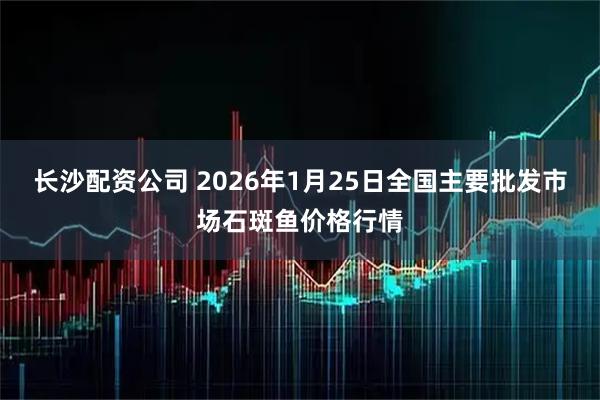 长沙配资公司 2026年1月25日全国主要批发市场石斑鱼价格行情