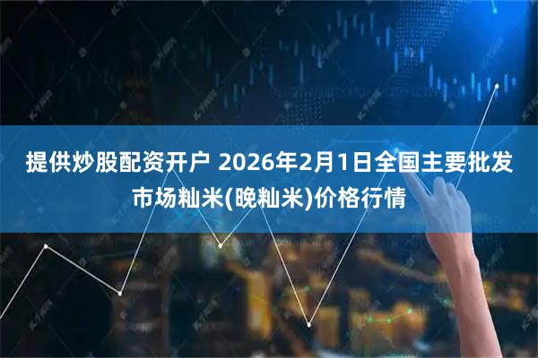 提供炒股配资开户 2026年2月1日全国主要批发市场籼米(晚籼米)价格行情