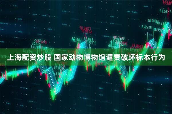 上海配资炒股 国家动物博物馆谴责破坏标本行为